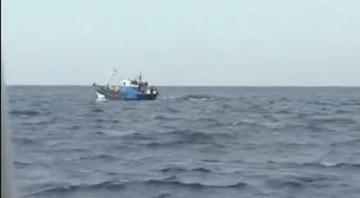 الحفاظ على الثروات السمكية بالسواحل المغربية