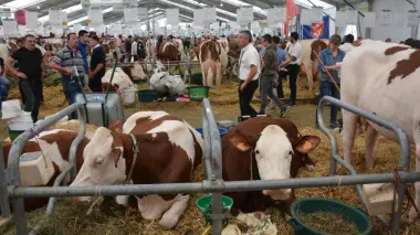 تدشين الجناح المغربي في الدورة الـ34 لقمة تربية المواشي بكليرمون-فيرون