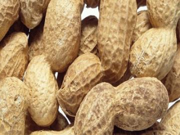 تناول الحامل للفول السوداني يجنب الطفل الإصابة بالحساسية