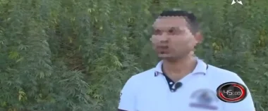برنامج 45 دقيقة: الكيف المعادلة الصعبة