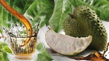 الفاكهة التي هزّت العالم بفوائدها