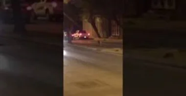 بالفيديو.. نمر يتجول في الشارع يثير ذعر السعوديين