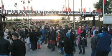 حديقة الحيوانات بالرباط تستقطب حوالي مليوني زائر منذ افتتاحها سنة 2012