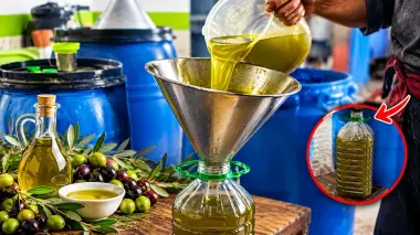 صاحب معصرة يكشف للمغاربة ما يجب فعله أثناء شراء زيت الزيتون ويحذر من ممارسات قد تؤثر على جودته