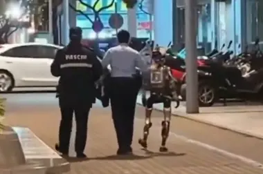 بالفيديو.. روبوت بشري يثير الرعب في قلب مسنّة وينتهي بقبضة الشرطة