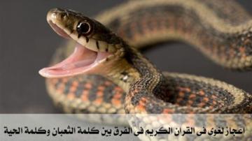 إعجاز لغوى في القرآن الكريم الفرق بين الحية والثعبان
