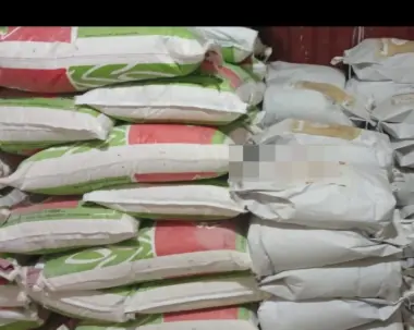 توقيف مغربيين وسينغالي بعد حجز كميات كبيرة من الدقيق الفاسد