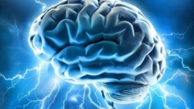 8 وصفات غذائية لتنشيط خلايا الدماغ