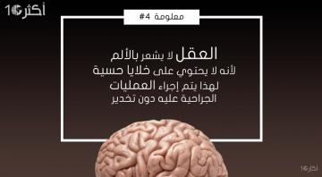 10 معلومات سريعة : حقائق مثيرة عن العقل البشري