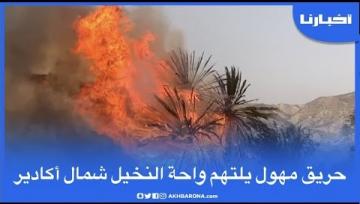 حريق مهول يلتهم واحة للنخيل شمال أكادير