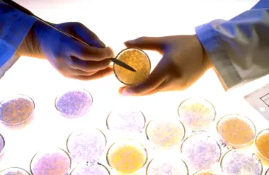 ابتكار ألماني سيغيّر مستقبل صناعة البلاستيك