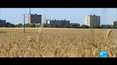 فرنسا  : وسط حقول القمح ينمو الفقر والبطالة