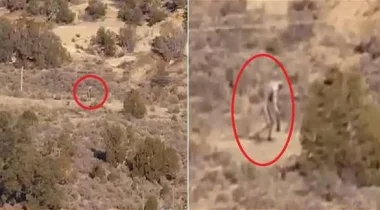 بالفيديو: كائن غريب يشبه الإنسان يظهر في صحراء البرتغال