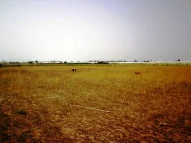 تورط وزير سابق في محاولة تفويت أرض مملوكة للدولة بثمن رمزي