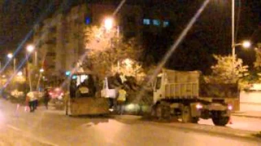 فضييحة جمع الاشجار بعد مرور الملك  محمد السادس بفاس