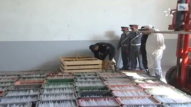 حجز خمسة أطنان من مخدر الشيرا بدار بوعزة