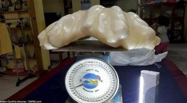 صياد يخفي لؤلؤة وزنها 34 كيلوغراماً تحت سريره 10 أعوام