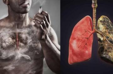 لهذا السبب الدخان خبيث وحرمه الاسلام