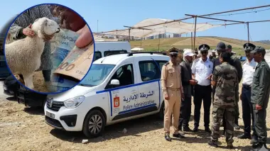 " لي حصل يودي".. قائد الملحقة 24 بطنجة يدخل على خط فوضى الشناقة بسوق الحرارين ومعقلش عليهم