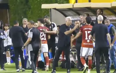 عموتة ينفعل بطريقة غريبة على لاعب الأهلي المصري (فيديو)