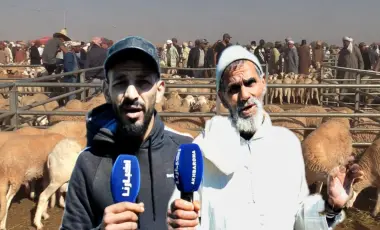 مغاربة يشتكون غلاء الأكباش ويحذرون من عيد "حارق" (فيديو)