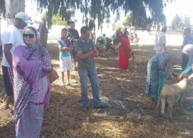 قيادية "بامية" تستغل عيد الأضحى وتنشر صور مساهمتها في توزيع الأضاحي