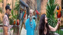 حميد.. صاحب ببغاوات شفشاون يُحرم من رزقه وسط تضامن واسع للساكنة