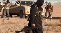 العراق: مقتل 8 من داعش بغارات للتحالف في سنجار