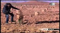 شح في الامطار بالجنوب الشرقي
