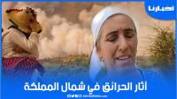 "أخبارنا" ترصد آثار حرائق الغابات ببني عروس، و سيدة تبكي وسط الحطام: ضاع لي كل شي