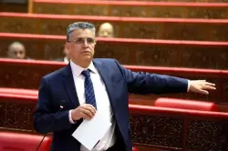 وهبي يتوعّد بتشديد العقوبات على حاملي الأسلحة البيضاء .. حتى ولو كان "طورنوفيس" !