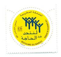 حجم التبرعات خلال حملة التضامن 2012 يتجاوز 223 مليون درهم
