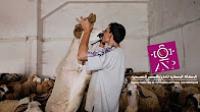 عيد الأضحى ..لهيب الأسعار وطمع التجار يكوي جيوب الفقراء