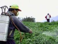 مجلس الحكومة يصادق على مشروع قانون يتعلق باتفاق المقر بين المغرب ومنظمة وقاية النباتات للشرق الأدنى