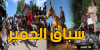 فضيحة: جمعية تنوي تنظيم سباق للحمير بتيزنيت وموجة سخرية ترافق الحدث