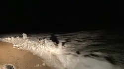 الثلوج تحاصر ساكنة جماعة "تانوردي" بإقليم ميدلت والسلطات تتحرك لفك العزلة عن المواطنين