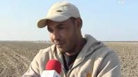الموسم الفلاحي بمنطقة الغرب شراردة