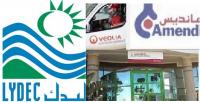 الفاسي الفهري يتهم شركات التدبير المفوض بالسعي وراء الربح
