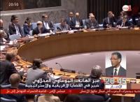 الموساوي العجلاوي: قرار مجلس الأمن انتصار للأطروحة المغربية في قضية الصحراء المغربية