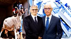 الطالبي يرد على بركة بخصوص جدل دعم استيراد الاغنام.. مبلغ 1300 مليار غير صحيح والقضاء كاين