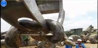 اكتشاف أكبر ثعبان في العالم بغابة الأمازون وزنه أكتر من 400 kg