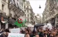 الجزائر: مسيرات رافضة للانتخابات وأخرى مؤيدة للجيش والاستحقاق الرئاسي