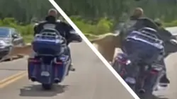 بالفيديو...حادث مرعب.. لحظة اصطدام دراجة نارية بغزال