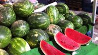 فلاحون يعلنوها صراحة: لن يكون بمقدور المغاربة شراء "دلاحة" هذا العام