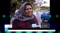 حديث عن وساطة إماراتية بين الجزائر والمغرب