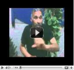 رسالة من عبد الله الصحراء إلى محمد العليويين الجزء الأول