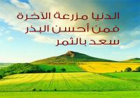 الدنيا مزرعة الآخرة