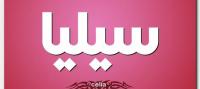 سلطات أزيلال ترفض تسجيل رضيعة بإسم "سيليا" الأمازيغي
