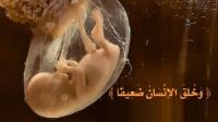 وَخُلِقَ الْإِنْسَانُ ضَعِيفًا