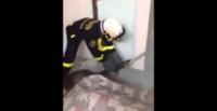 بالفيديو.. معاناة رجال الأطفاء لإخراج ثعبان ضخم داخل منزل